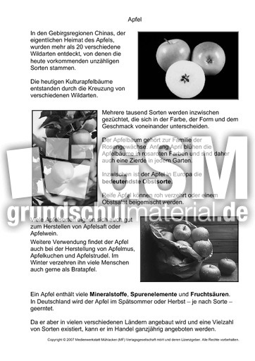 Apfel-SW.pdf